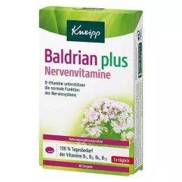 KNEIPP Valeriaan plus zenuwvitaminen dragées, 40 stuks