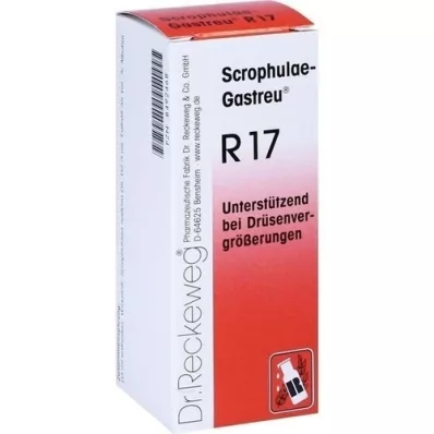 SCROPHULAE-Gastreu R17 mengsel, 50 ml