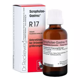 Scrophulae Gastreu R 17 druppels voor oraal gebruik, 50 ml
