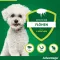 ADVANTAGE 100 oplossing voor honden 4-10 kg, 4 stuks