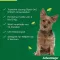 ADVANTAGE 100 oplossing voor honden 4-10 kg, 4 stuks