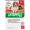 ADVANTAGE 250 oplossing voor honden 10-25 kg, 4 stuks