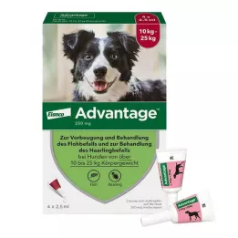 ADVANTAGE 250 oplossing voor honden 10-25 kg, 4 stuks