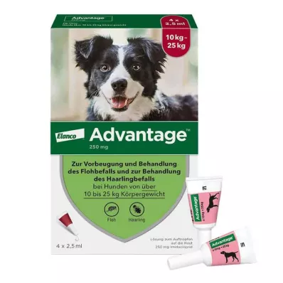 ADVANTAGE 250 oplossing voor honden 10-25 kg, 4 stuks
