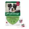 ADVANTAGE 250 oplossing voor honden 10-25 kg, 4 stuks