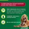 ADVANTAGE 250 oplossing voor honden 10-25 kg, 4 stuks