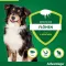ADVANTAGE 250 oplossing voor honden 10-25 kg, 4 stuks