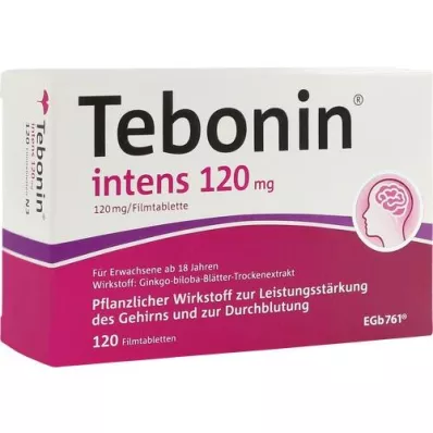 TEBONIN intensieve 120 mg filmomhulde tabletten, 120 stuks