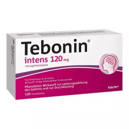 TEBONIN intensieve 120 mg filmomhulde tabletten, 120 stuks