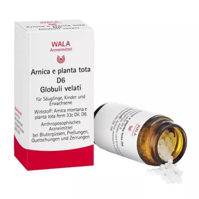 Arnica E Planta tota D 6 bolletjes, 20 g