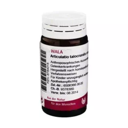Articulatio Talocruralis Com, 20 gr