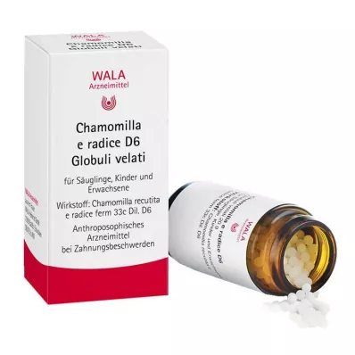 Chamomilla E Radix D 6 bolletjes, 20 g Chamomilla E Radix D 6 bolletjes, 20 g