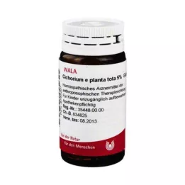 Cichorium E Planta Tota 5% G, 20 g