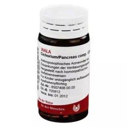 Cichorium Pancreas comp.Bolletjes, 20 g
