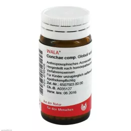 Concha comp.Bolletjes, 20 g