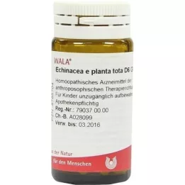 ECHINACEA E planta tota D 6 bolletjes, 20 g