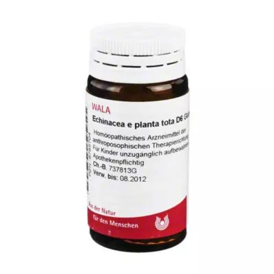 Echinacea E Planta Tota D 6, 20 gr Echinacea E Planta Tota D 6, 20 gr