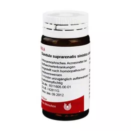 Glandula suprarenalis sinistra cum Cupro, 20 g