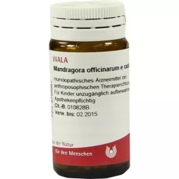 MANDRAGORA OFFICINARIUM e radice D 6 bolletjes, 20 g