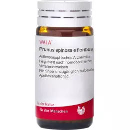 Prunus Spinosa E Fl.En zo.D6-bolletjes (20 g)