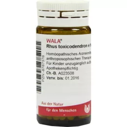 Rhus toxicodendron E foliis D 6 bolletjes, 20 g