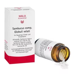 SAMBUCUS COMP Bolletjes, 20 g