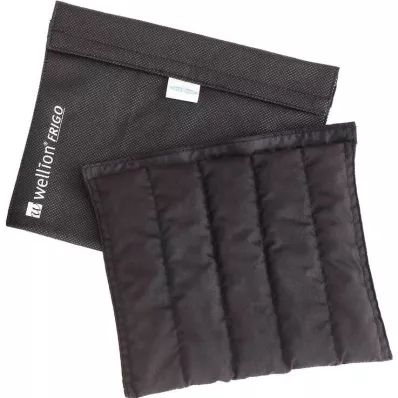 Wellion Frigo XXL medische koeltas, 1 st Wellion Frigo XXL medische koeltas, 1 st
