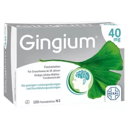 GINGIUM 40 mg filmomhulde tabletten, 120 stuks