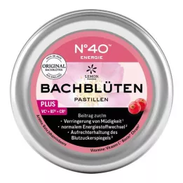 ENERGIE BACHBLÜTENPASTILLEN volgens Dr.Bach, 50 g