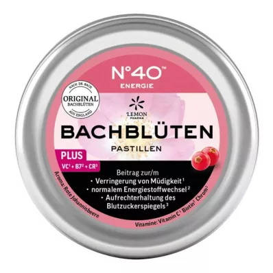Energie Bachbloesempastilles volgens Dr.Bach, 50 g