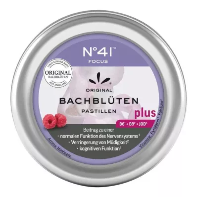 KONZENTRATION Bach bloesem pastilles volgens Dr.Bach, 50 g KONZENTRATION Bach bloesem pastilles volgens Dr.Bach, 50 g