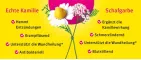 Instructions for use for Kamillan® vloeistof, 10 ml - 2