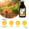 Multivitamine energetische Salus, 500 ml