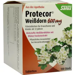PROTECOR Meidoorn 600 mg Filmomhulde Tabletten, 100 Capsules