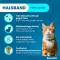 SERESTO Halsband f.cats, 1 st