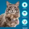 SERESTO Halsband f.cats, 1 st