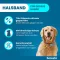 SERESTO 4,50g + 2,03g Halsband voor honden vanaf 8kg, 1 st
