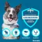 SERESTO 4,50g + 2,03g Halsband voor honden vanaf 8kg, 1 st