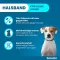 SERESTO 1,25g + 0,56g Halsband voor honden tot 8kg, 1 st