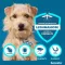 SERESTO 1,25g + 0,56g Halsband voor honden tot 8kg, 1 st