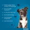 SERESTO 1,25g + 0,56g Halsband voor honden tot 8kg, 1 st