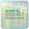 LACTOBACT omni FOS enteric-gecoate capsules, 60 st