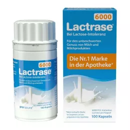 LACTRASE 6.000 FCC Capsules, 100 stuks