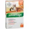 ADVANTAGE 40 mg oplossing voor kleine katten/konijnen, 4X0,4 ml