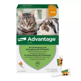 ADVANTAGE 40 mg oplossing voor kleine katten/konijnen, 4X0,4 ml