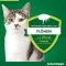 ADVANTAGE 40 mg oplossing voor kleine katten/konijnen, 4X0,4 ml