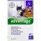 ADVANTAGE 80 mg voor grote katten en konijnen, 4X0,8 ml