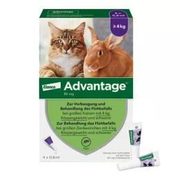 ADVANTAGE 80 mg voor grote katten en konijnen, 4X0,8 ml