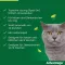 ADVANTAGE 80 mg voor grote katten en konijnen, 4X0,8 ml