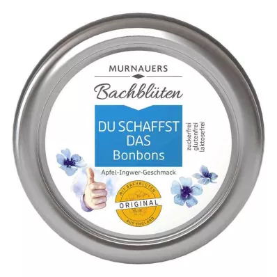 BACHBLÜTEN Murnauers Du schaffst das Bonbons, 50 g BACHBLÜTEN Murnauers Du schaffst das Bonbons, 50 g
